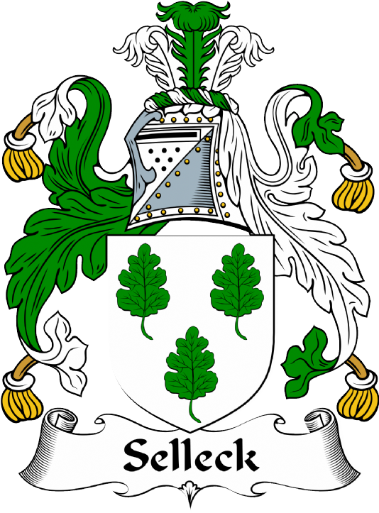 Selioke Coat of Arms